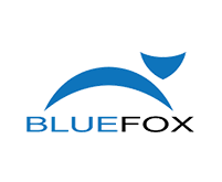 Bluefox Client de Capoffshore agence marketing digital
